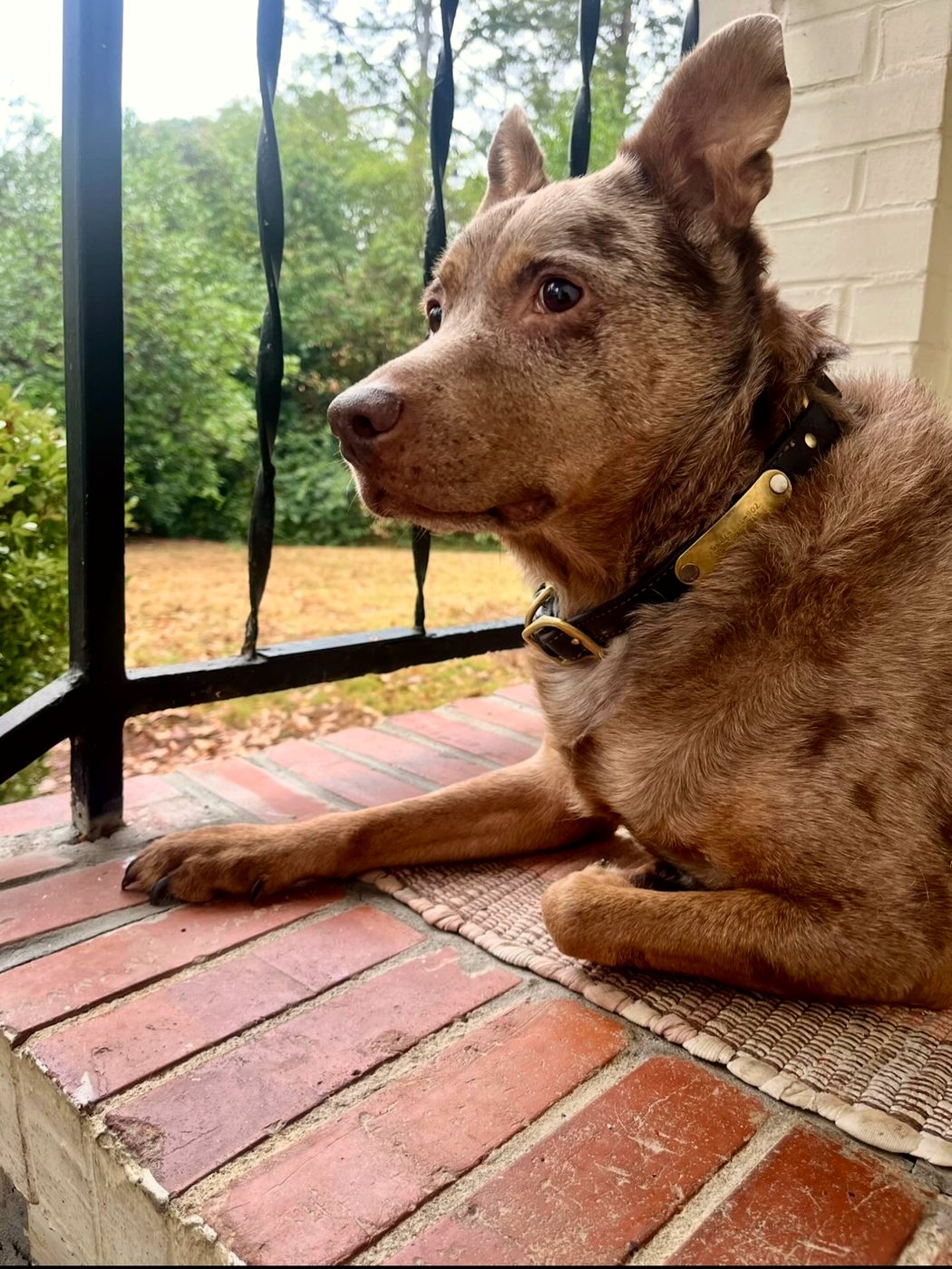 Foster, on the porch